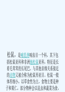 小壁虎借尾巴课件