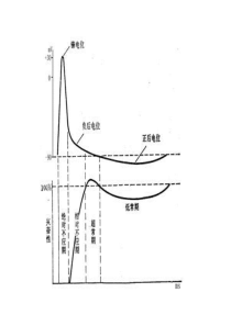 培优讲堂――神经电位测量与电流计指针偏转问题分析