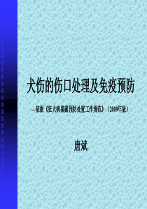 犬伤处理及预防