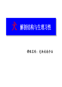 犬猫解剖结构与生理习性