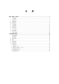 创业计划书模板(领航者)