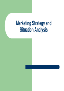 Marketing Strategy and Situation Analysis