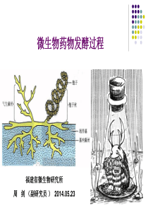 发酵工艺精品ppt