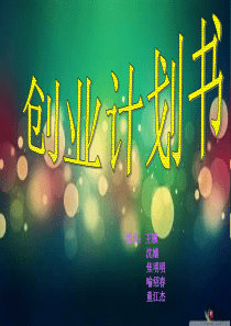 网络创业策划书