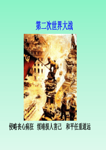 浙江省温州市第二外国语学校高三历史复习课件： 第二次世界大战(人教版选修3)