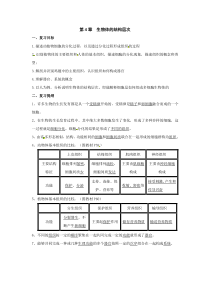 04.第四章--生物体的结构层次复习教案