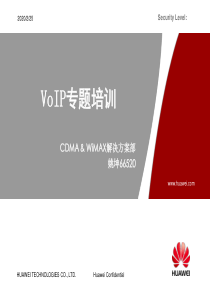 培训胶片：WiMAX VoIP专题培训