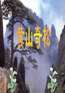 16《黄山奇松》课件