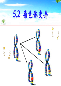 5.2染色体变异+5.3人类遗传病