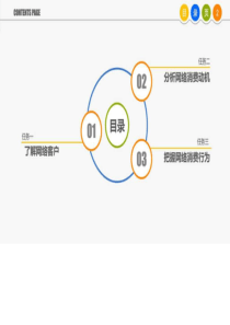 项目二捕捉网络消费心理任务1了解网络客户ppt