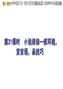 2012版中考一轮复习语文精品课件(含2011中考真题)第21课时小说阅读抓环境赏言语品技艺(23p