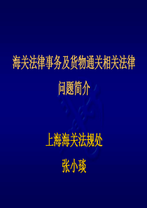 海关法律事务及货物通关相关法律