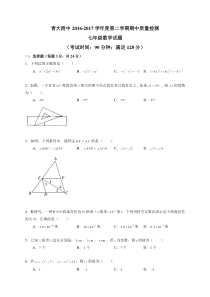 山东省青大附七年级2016-2017学年下学期期中数学试题(无答案)