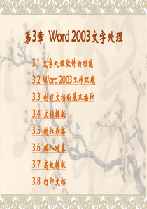 计算机基础 第3章  Word 2003文字处理