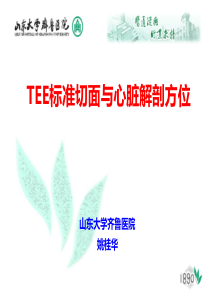 TEE标准切面与心脏解剖方位-2015.12.24姚桂华