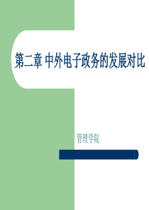 电子政务第二章中外电子政务的发展对比