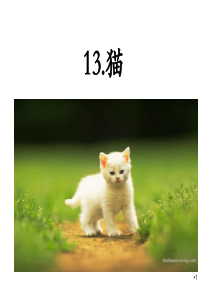 部编版四年级语文下册《13猫》课件PPT