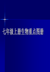 2019-七年级上册生物重点图册-文档资料