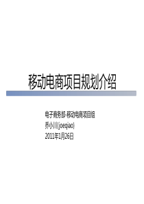 移动互联网电子商务平台项目规划