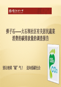 弹子石――大石坝社区有关居民蔬菜消费的碳排放量的调查报告