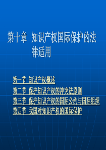 第10章知识产权国际保护的法律适用