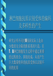 淋巴细胞抗原识别受体的编码及多样性的产生