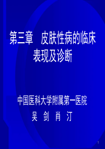 02 第三章 皮肤性病的临床表现及诊断 (肖汀)