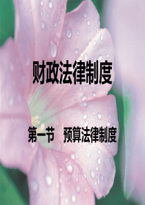 第一节预算法律制度