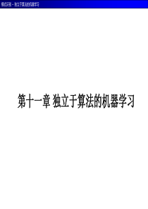 第11章 独立于算法的机器学习