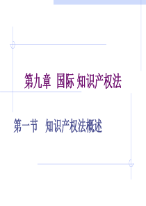 第九章国际知识产权贸易法律制度