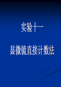 实验十一 显微镜直接计数