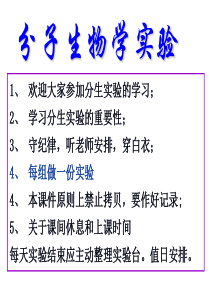 1_基因组DNA的提取及电泳鉴定