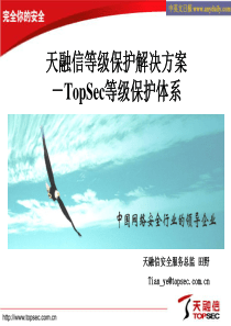 天融信等级保护解决方案-TopSec等级保护体系