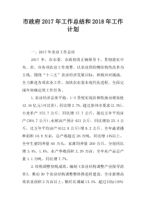 市政府2017年工作总结和2018年工作计划