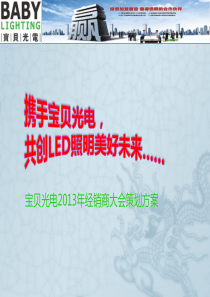 宝贝光电经销商大会策划方案(08-08)