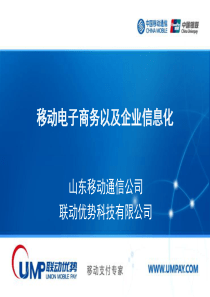 移动电子商务以及企业信息化(包括携程、淘宝、当当网商