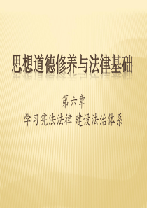 第六章学习宪法法律建设法治体系(15版)