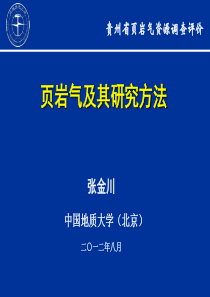 页岩气及其研究方法-张金川