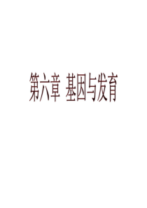 遗传学基因与发育