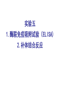 酶联免疫吸附试验ELISA