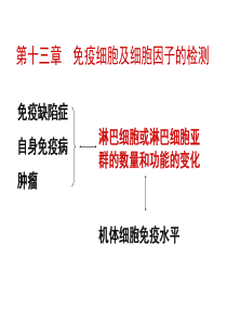 免疫细胞及细胞因子的检测