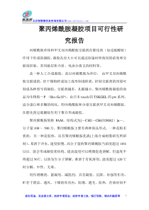 聚丙烯酰胺凝胶项目可行性研究报告