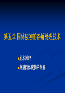 固体废物的热解处理技术