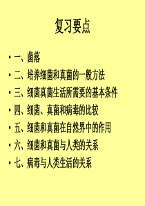 细菌、真菌、病毒(复习)----