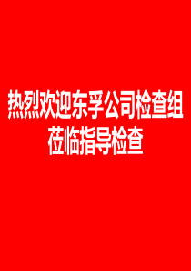 中建尚锦苑项目公司汇报2019年3月18日