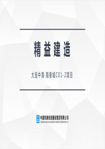 大连中海·海港城C01-2项目精益建造实施计划汇报材料