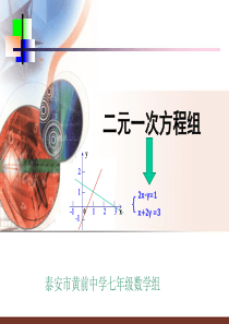 鲁教版.二元一次方程组