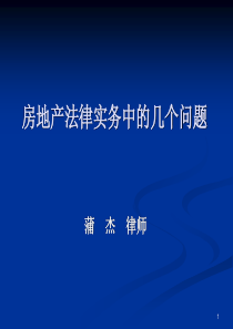 蒲杰 房地产法律实务中的几个问题