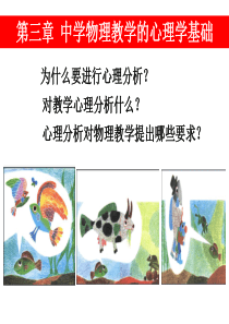 第三章--中学物理教学心理分析