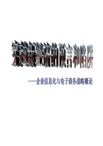 穿越新经济的预言和陷阱——企业信息化与电子商务战略